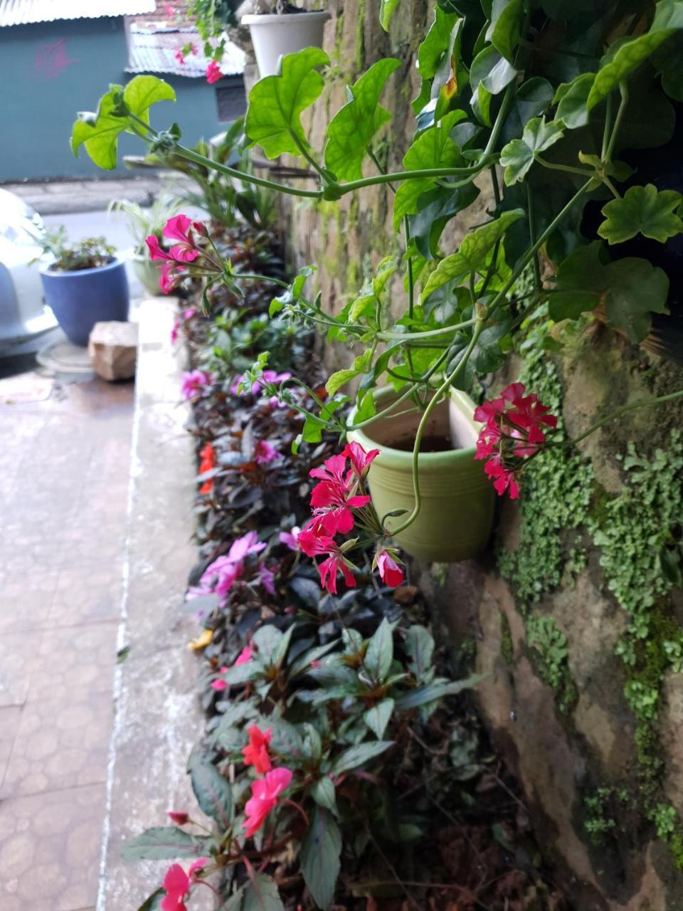 Hai Quyen Hotel Dalat Luaran gambar